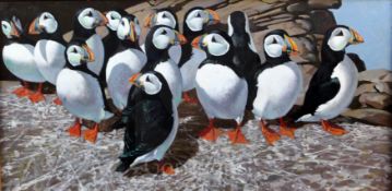 § Keith Shackleton (1923-2015)oil on boardPuffins on the Great Smith: Isles of Scillysigned and