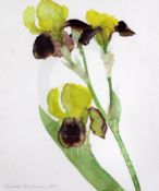 § Dame Elizabeth Violet Blackadder O.B.E. (1931-)watercolourStudy of yellow irisessigned and dated