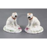 A pair of Derby figures of pug dogs, c.1760-5, each seated on a rococo moulded bases, h. 7cm,