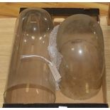Two glass taxidermy display domes (no bases) Tallest 44cm high