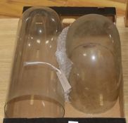 Two glass taxidermy display domes (no bases) Tallest 44cm high