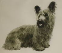 Kurt Meyer-Eberhardt, etching, Skye terrier, signed in pencil 27 x 32cm.