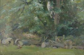 David Jan Curtis, two oils on board, May Blossom & Walkers and Fallen Tree, signed 30 x 24cm & 20