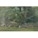 David Jan Curtis, two oils on board, May Blossom & Walkers and Fallen Tree, signed 30 x 24cm & 20