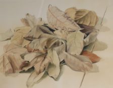 Kaffe Fassett, watercolour, Fallen leaves, 39 x 48cm.