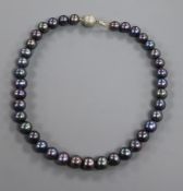 A moder tahitian cultured pearl necklace, with white metal clasp, 41.5cm.