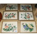 A set of six Chinese pith paper paintings of flowers and butterflies Largest 17 x 26cm.