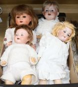 A group of four bisque-headed dolls with jointed composition bodies, including a Schoenau &