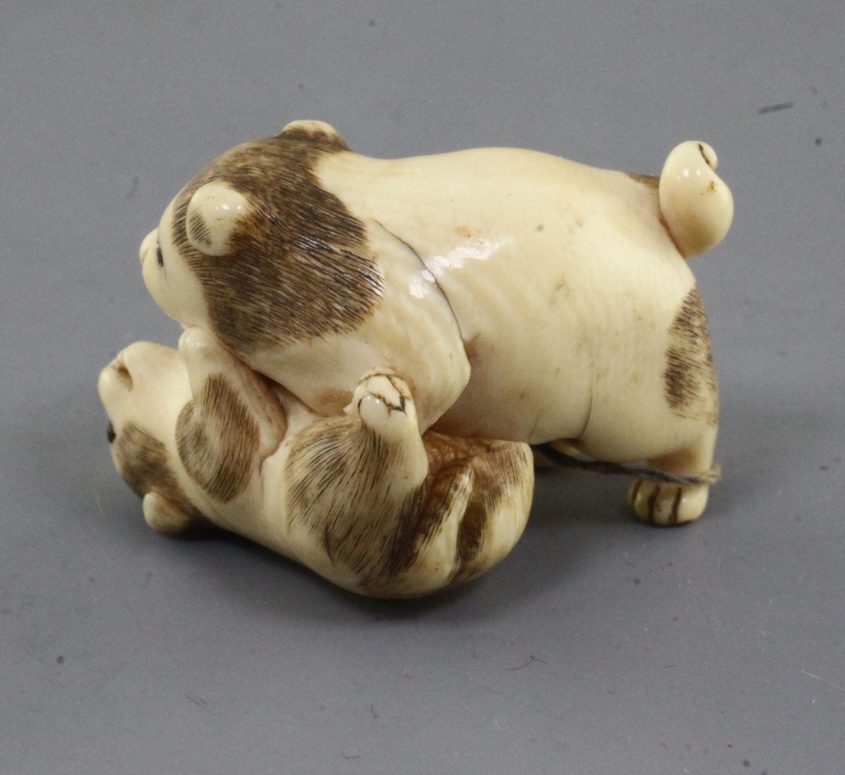 A Japanese ivory netsuke of two puppies, 19th century, the chubby pups play fighting, unsigned, l. - Image 2 of 3