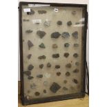 A glazed case of mineral samples