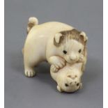 A Japanese ivory netsuke of two puppies, 19th century, the chubby pups play fighting, unsigned, l.