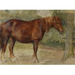 Harry Fidler, watercolour, Study of a chestnut horse, 25 x 34cm