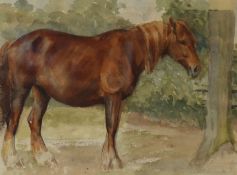 Harry Fidler, watercolour, Study of a chestnut horse, 25 x 34cm