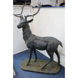 A large bronzed metal model of a standing stag H.154cm