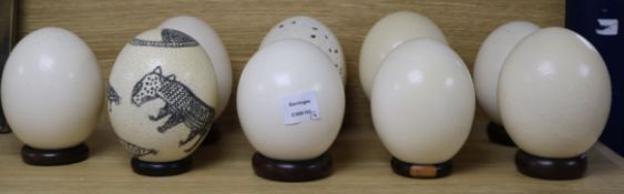 Nine ostrich eggs, on stands