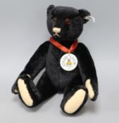 A Steiff 1999 Club Bear 1912 EAN 420160, mint and boxed