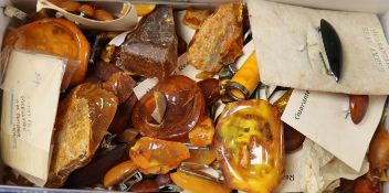 A collection of Baltic and other amber samples.