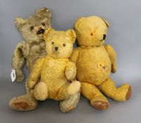 Three Teddy bears