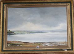 Shirley Carnt (20th century British), oil on canvas, Coastal landscape, signed, 50 x 75cm