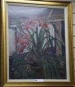 Paul Ayshford Lord Methuen (1886-1974) oil on canvas, Cymbidium orchid, 1950, signed, 61 x 51cm.