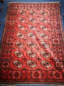 A Bokhara red-ground rug 176 x 126cm