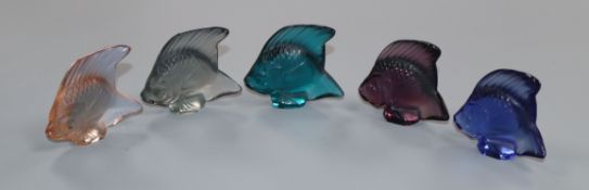 Five coloured Lalique glass fish (four boxed)