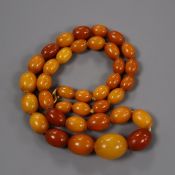 A single row graduated amber bead necklace, gross 23 grams, 46cm.