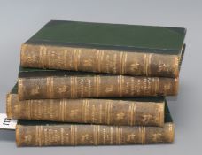 Step (E), Favourite Flowers of Garden and Greenhouse, 4 vols, Frederick Warne & Co, London 1897,