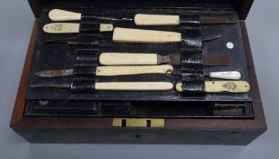 An early 19th century surgeon's set inscribe 'E/ Pine Coffin'