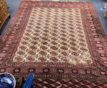 A Tekke Bokhara red ground rug 430 x 310cm