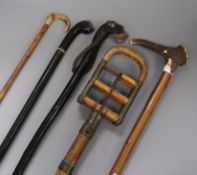 Five walking sticks including a horn handled shooting stick and a carved dog head