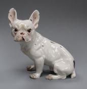 An Augarten porcelain model of a French bulldog height 15cm