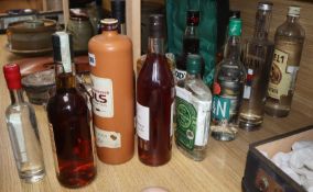 Thirteen bottles of assorted Spirits including Bols, Ketel 1, U.S.O.A, Bundaberg and Bokma