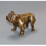 A bronze bulldog length 10.5cm