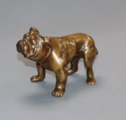 A bronze bulldog length 10.5cm