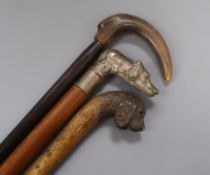 Two dog's head handled canes and another