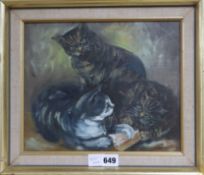 Audrey Blake, oil on board, Study of three cats, signed 24 x 29cm