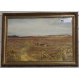 Charles Low, watercolour, Cattle in heathland, signed 31 x 48cm