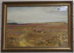 Charles Low, watercolour, Cattle in heathland, signed 31 x 48cm