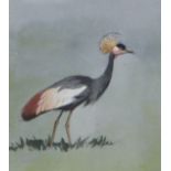 John Cyril Harrison (1898-1895), watercolour, Crowned Crane, label verso 15 x 13cm