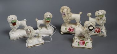 Six Staffordshire porcelain figures of poodles, c.1830-50, three with flower painted bases,