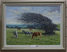 Roy Millar, oil on canvas, 'Natures Sculptor', signed, 39 x 55cm