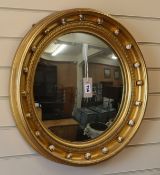 A Regency style gilt convex mirror W.56cm