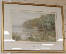 Thomas Hunn, watercolour, Swans on the river, signed, 38 x 59cm