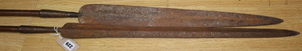 Two African spears, possibly Ashante length 203cm