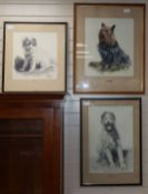 H. Bouvard, watercolour and 2 drawings, Portraits of a Yorkshire Terrier and two other dogs,
