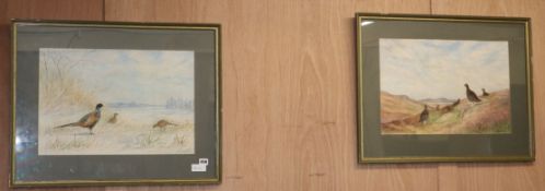 Richard Harrison, pair of watercolours, Grouse and pheasant in landscapes, signed, 36 x 53cm