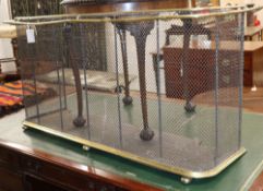 An early Victorian brass and wire mesh nursery fender W.142cm