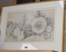 Rodney Hubbuck, pencil drawing, 'Seaflowers', signed and dated 1968, 25 x 42cm and an oil on board