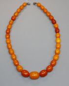 A single strand graduated amber bead necklace, gross weight 33 grams, 43cm.